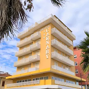 https://hotel-carnaby.emilia-romagnahotels.net